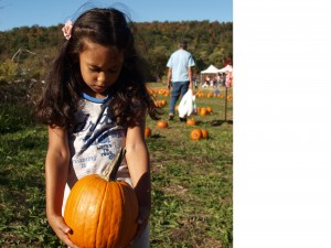 calabaza