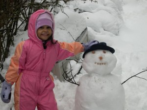 nieve1