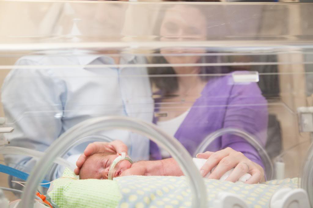 Los genes del bebé y el nacimiento prematuro Los genes del bebé y el nacimiento prematuro