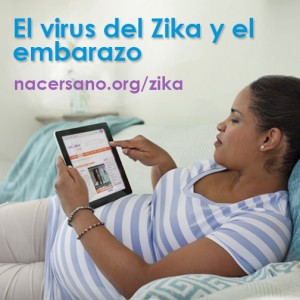 Tome en cuenta el virus del Zika antes de viajar Tome en cuenta el virus del Zika antes de viajar